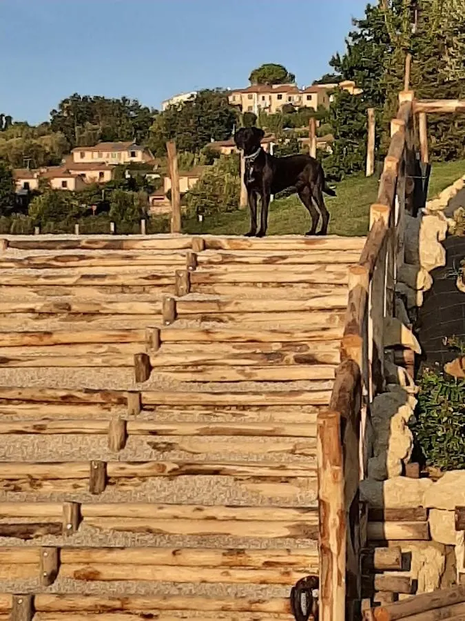Essenziale Bed and Breakfast Castell'Anselmo Ιταλία